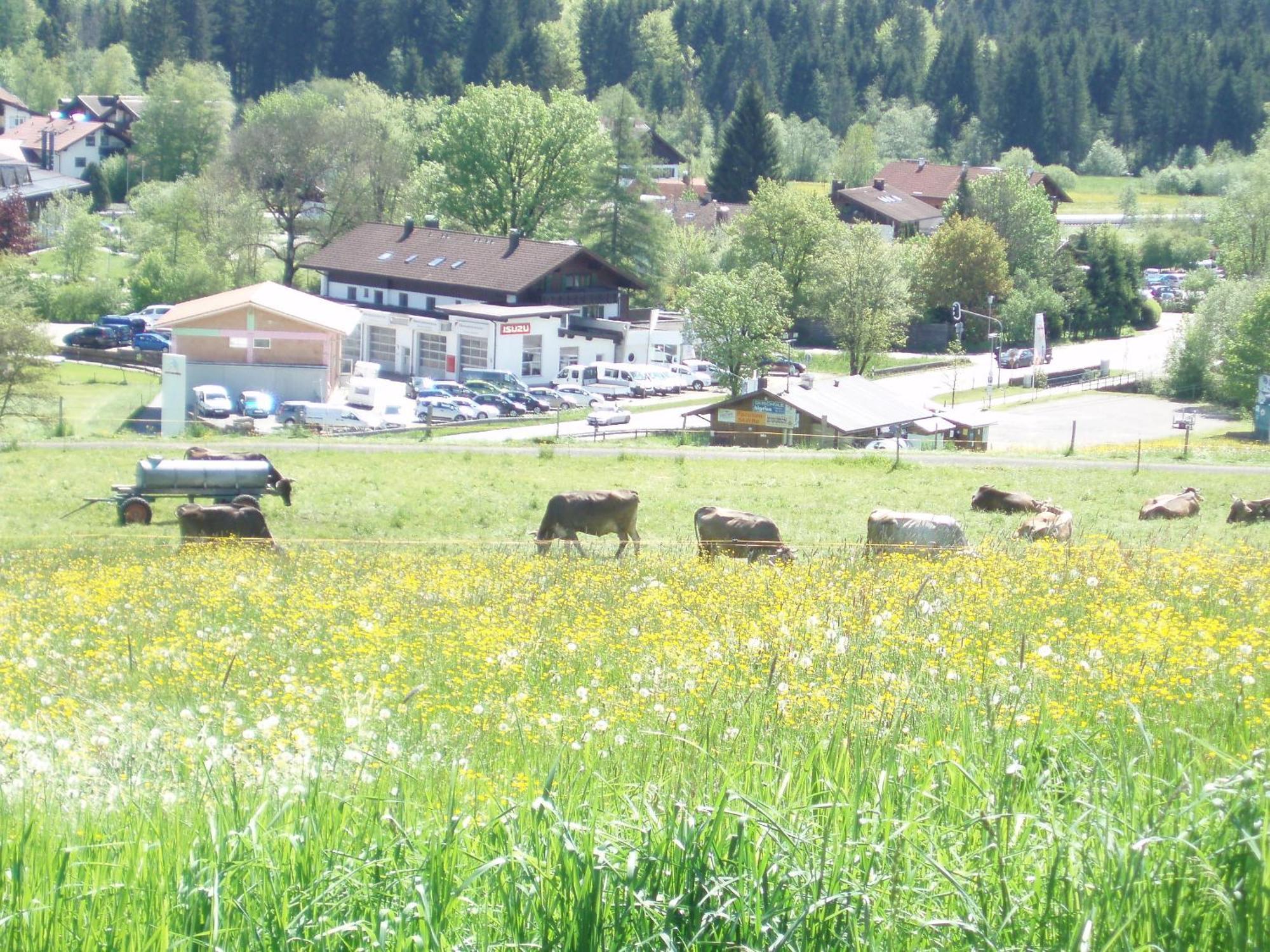 Hotel Alpenblick Fischen im Allgäu Exterior foto